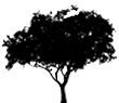 A Tree